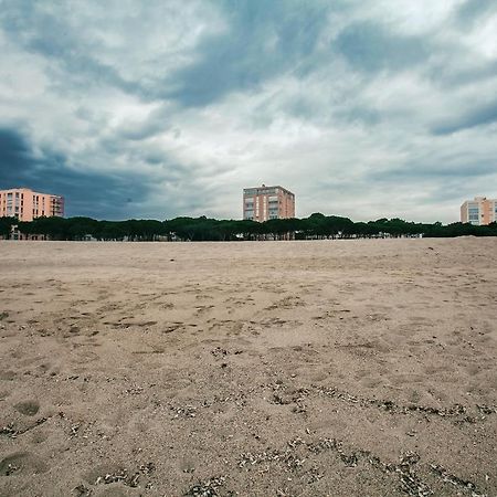 Studio Les Pieds Dans L'Eau Argeles Sur Mer Екстер'єр фото