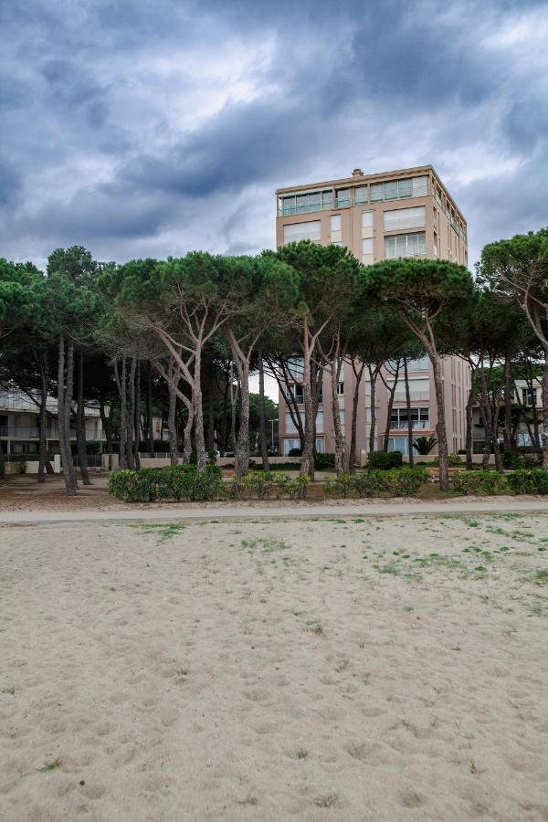 Studio Les Pieds Dans L'Eau Argeles Sur Mer Екстер'єр фото
