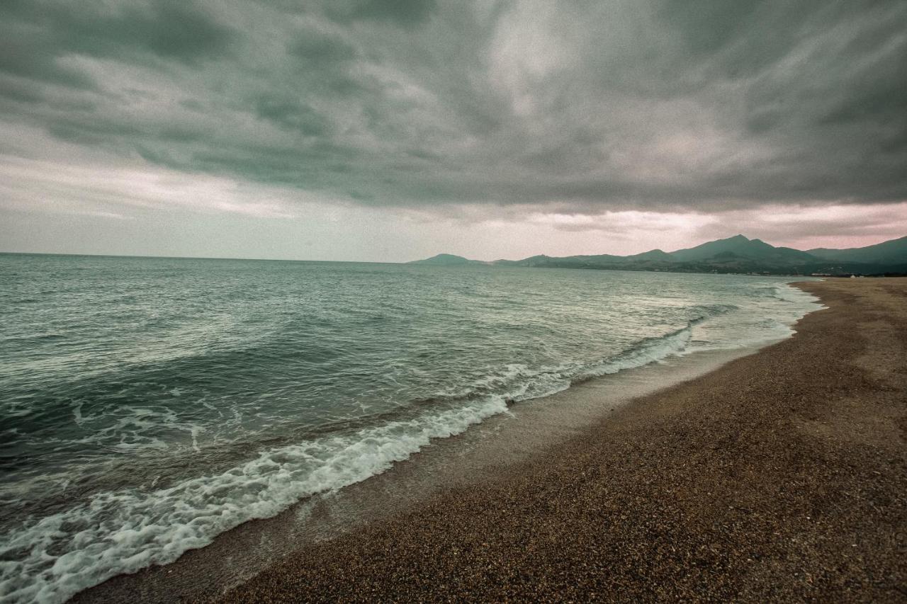 Studio Les Pieds Dans L'Eau Argeles Sur Mer Екстер'єр фото